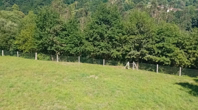 Orense - Covelo - 3500m2
