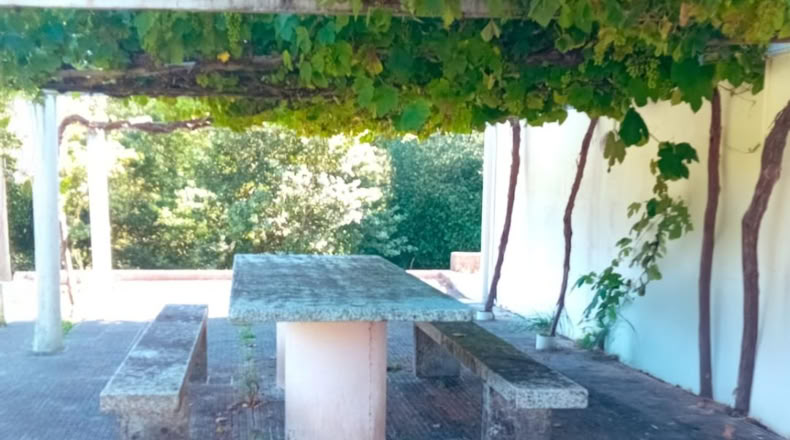 Orense - Covelo - 3500m2