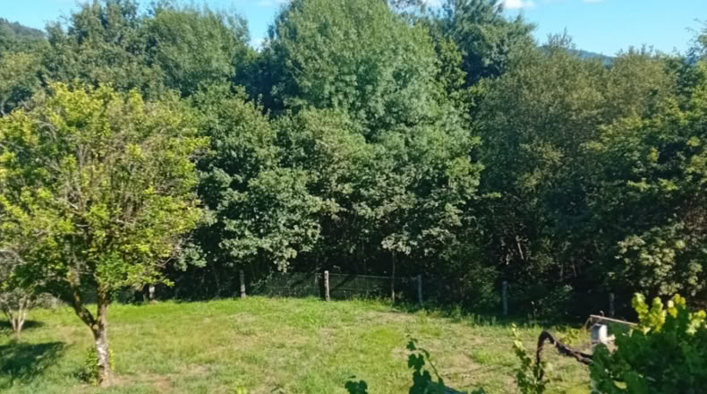 Orense - Covelo - 3500m2
