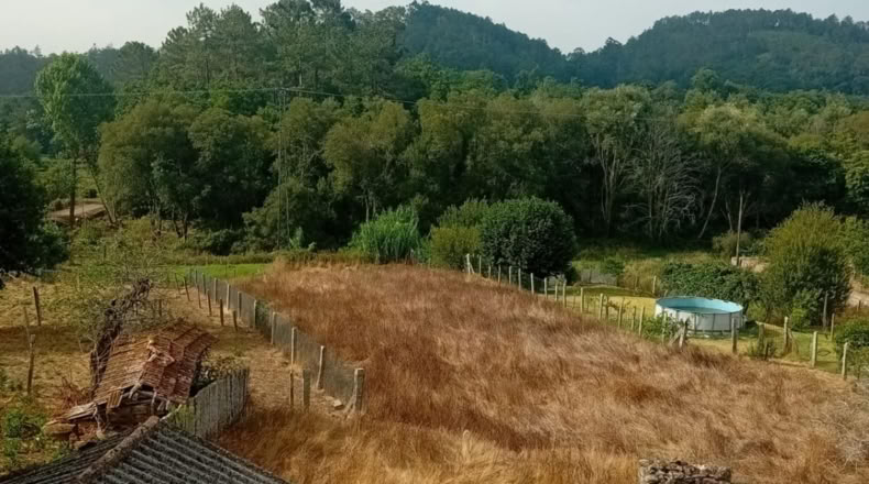 Pontevedra - Puenteareas - 2505m2