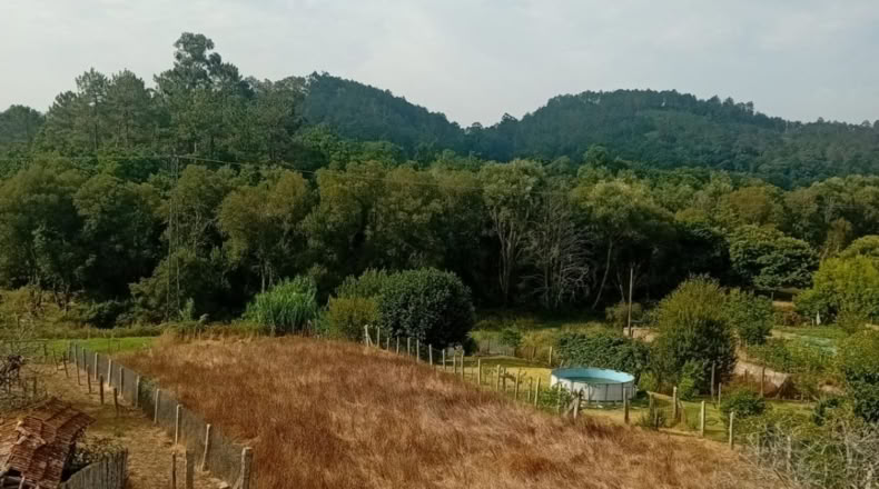 Pontevedra - Puenteareas - 2505m2