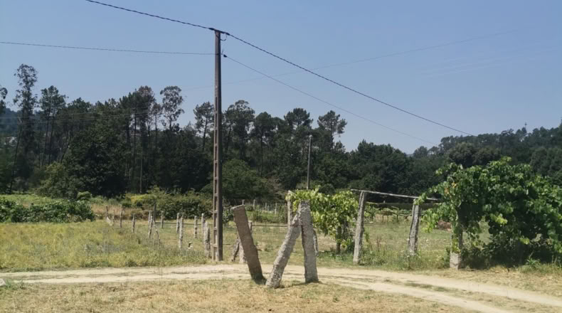 Pontevedra - Puenteareas - 396m2