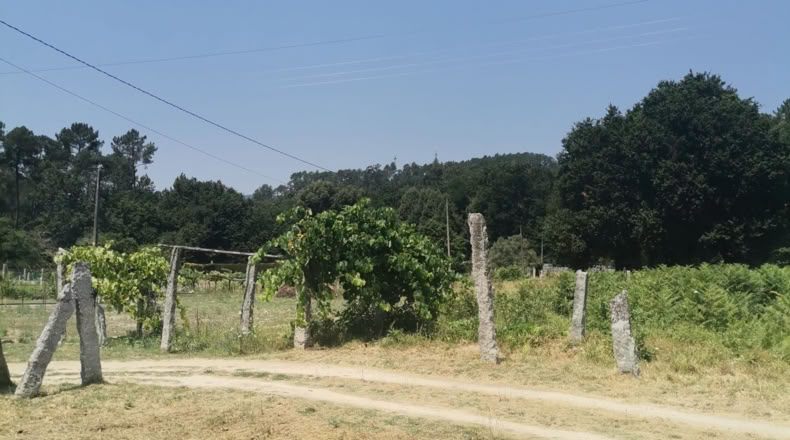 Pontevedra - Puenteareas - 396m2