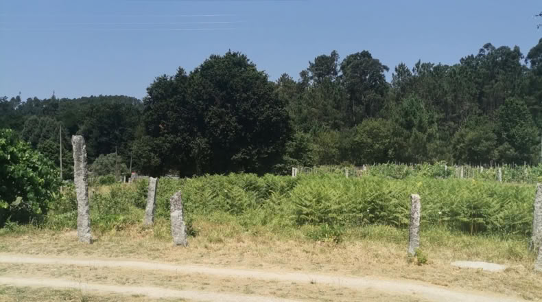 Pontevedra - Puenteareas - 396m2