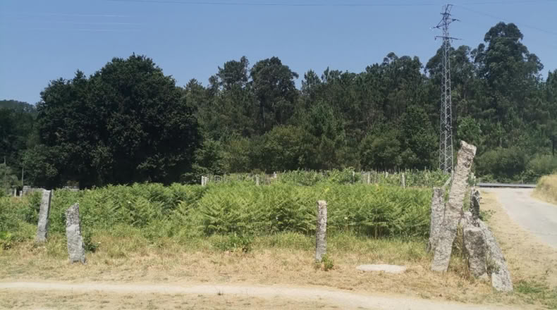 Pontevedra - Puenteareas - 396m2