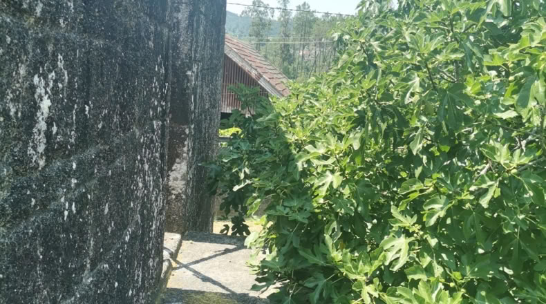 Pontevedra - Puenteareas - 396m2