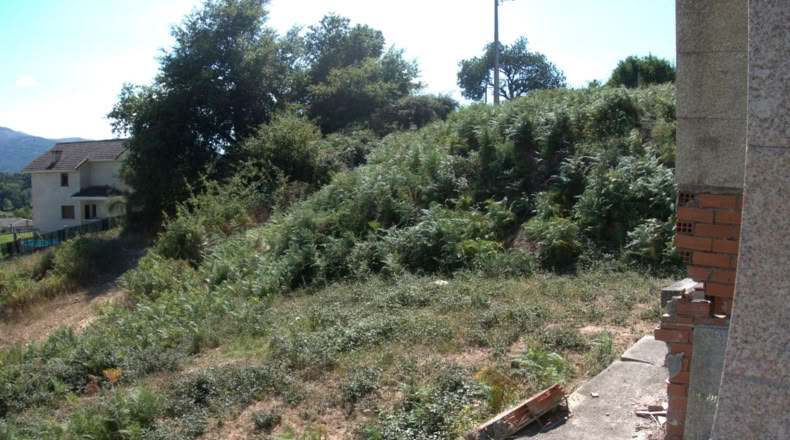 Pontevedra - O Monte - 600m2
