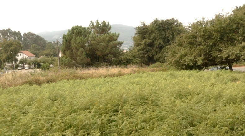 Pontevedra - Redondela - 2200m2
