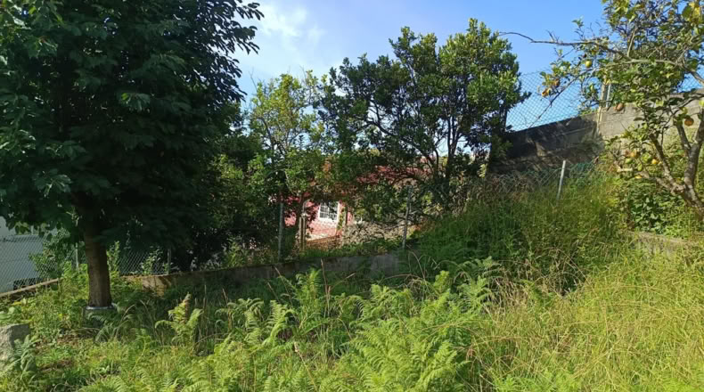 Pontevedra - Poio - 700m2