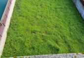 Detached villa with land for sale in Baiona ref: TR363941 photo