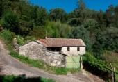 Finca rústica en venda a Santiago de Covelo ref.: TR108101 foto