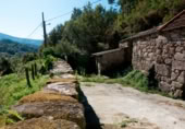 Finca rústica en venda a Santiago de Covelo ref.: TR108101 foto