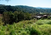 Finca rústica en venda a Santiago de Covelo ref.: TR108101 foto