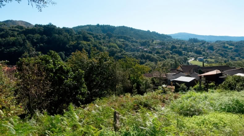 Pontevedra - Caxil - 2090m2