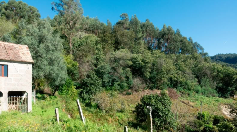 Pontevedra - Caxil - 2090m2