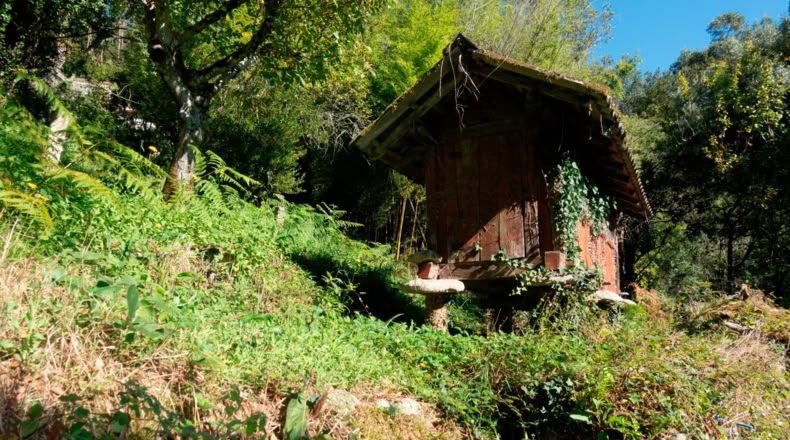 Pontevedra - Caxil - 2090m2