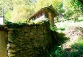Finca rústica en venda a Santiago de Covelo ref.: TR108101 foto