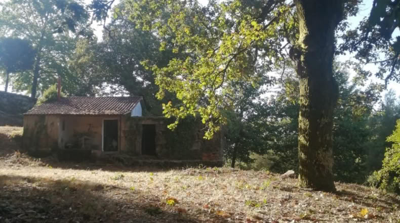 Pontevedra - Puenteareas - 1058m2