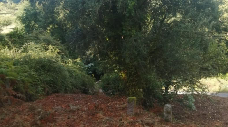 Pontevedra - Puenteareas - 1058m2