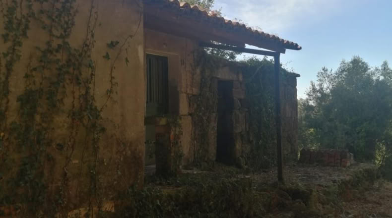 Pontevedra - Puenteareas - 1058m2