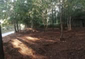Terreno no urbanizable en venta en Puenteareas ref: TR254031 foto