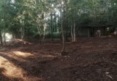 Terreno no urbanizable en venta en Puenteareas ref: TR254031 foto