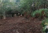 Terreno no urbanizable en venta en Puenteareas ref: TR254031 foto