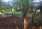Terreno no urbanizable en venta en Puenteareas ref: TR254031 foto