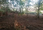 Terreno no urbanizable en venta en Puenteareas ref: TR254031 foto