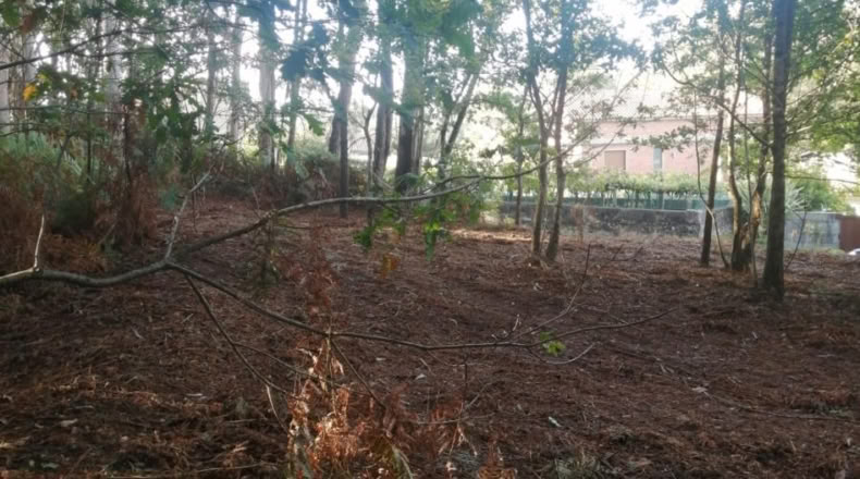 Pontevedra - Puenteareas - 464m2