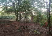 Terreno no urbanizable en venta en Puenteareas ref: TR254031 foto