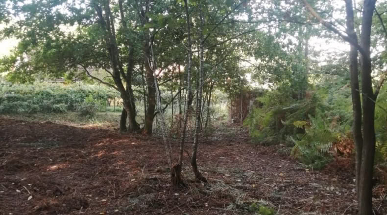 Pontevedra - Puenteareas - 464m2