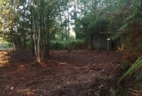 Foto 10