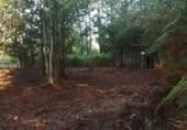 Terreno no urbanizable en venta en Puenteareas ref: TR254031 foto
