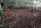 Terreno no urbanizable en venta en Puenteareas ref: TR254031 foto