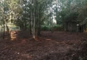 Terreno no urbanizable en venta en Puenteareas ref: TR254031 foto