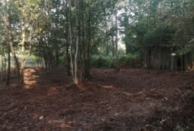 Foto 14