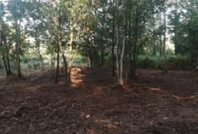 Foto 16