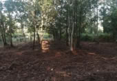 Terreno no urbanizable en venta en Puenteareas ref: TR254031 foto