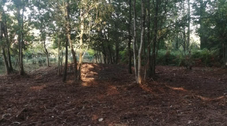 Pontevedra - Puenteareas - 464m2