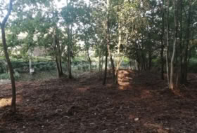 Foto 17