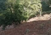 Terreno no urbanizable en venta en Puenteareas ref: TR254031 foto
