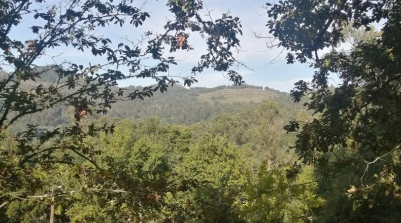 Pontevedra - Puenteareas - 464m2