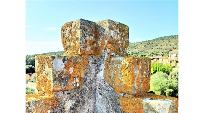 Gerona - Castell d'Aro - 9878m2