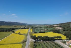 Foto 8