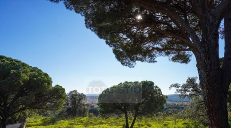 Gerona - Platja d'Aro - 517m2