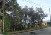 Suelo urbano en venta en Calonge ref: TR109086 foto