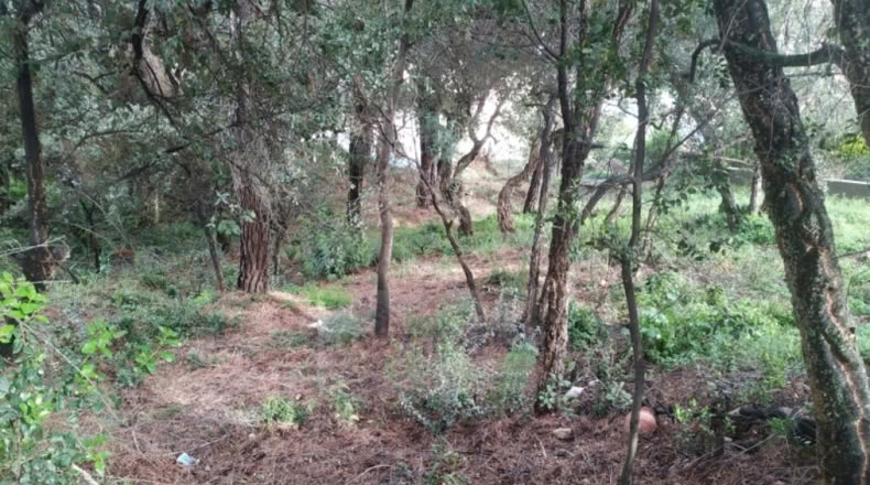 Gerona - Calonge - 767m2