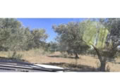 Non-developable land for sale in Cantallops ref: TR225123 photo