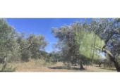 Non-developable land for sale in Cantallops ref: TR225123 photo